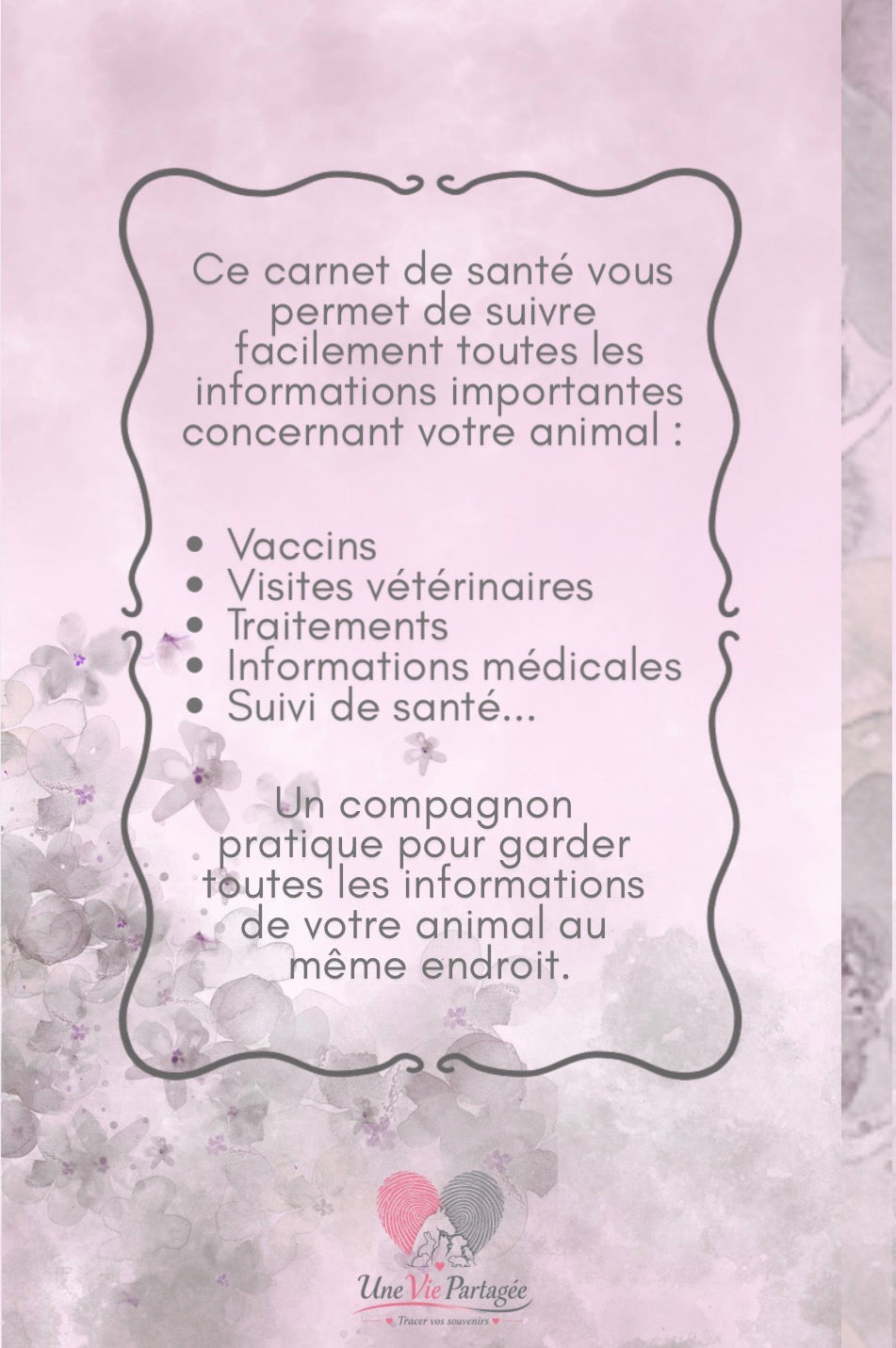 Mon Carnet de Santé : suivi complet pour mon chat