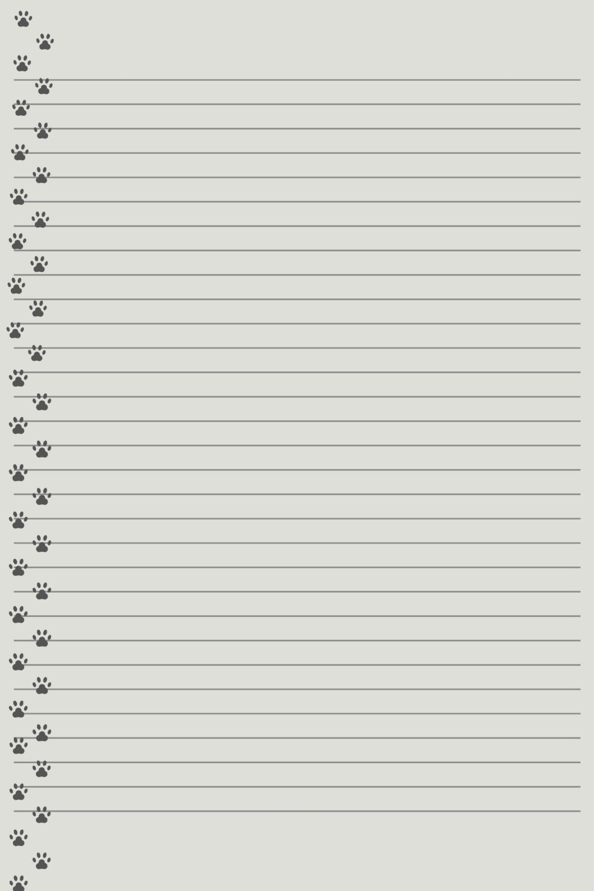 Mon Carnet de Notes "MAINE COON"  : mes idées commencent ici...