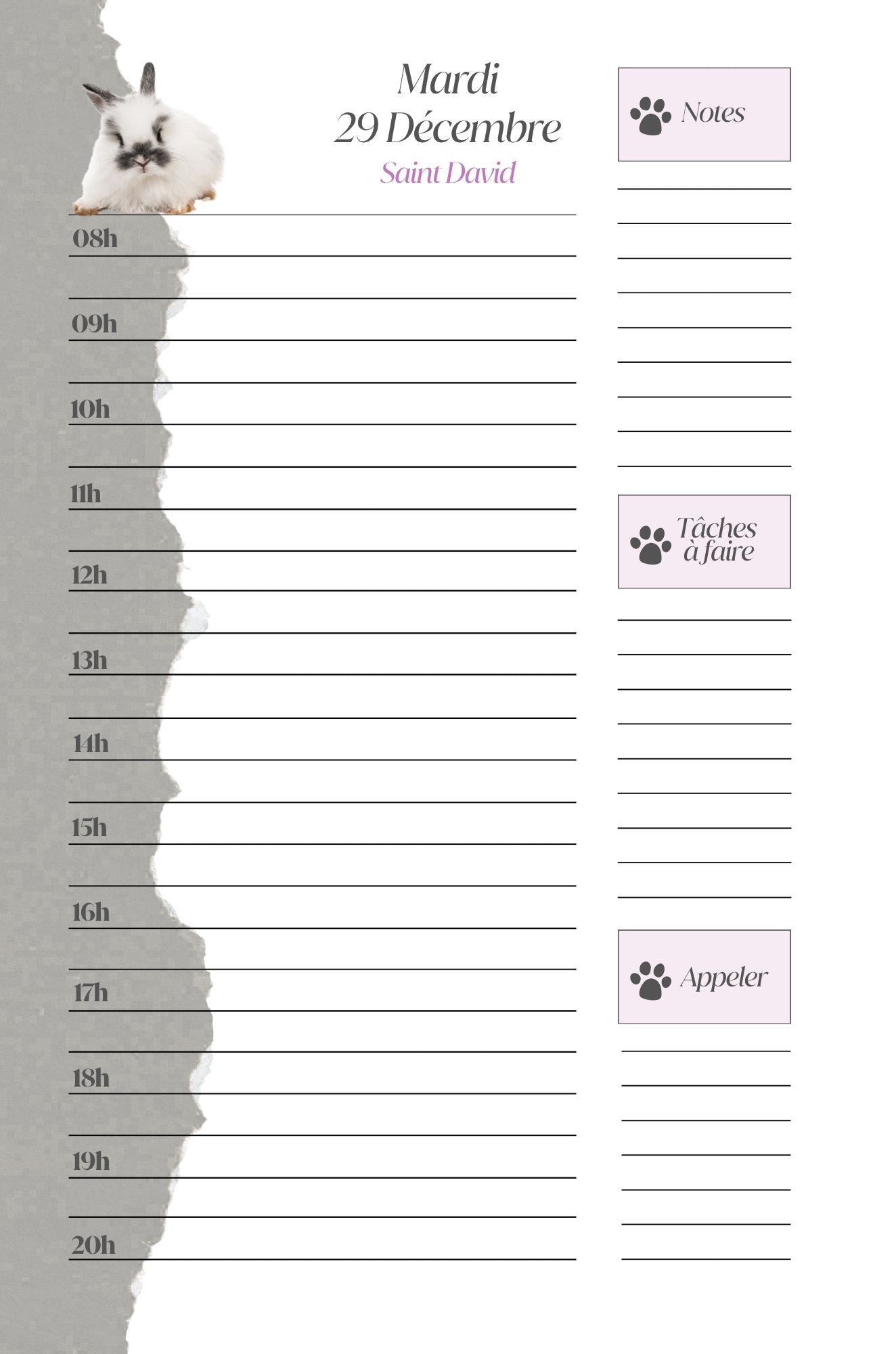 Mon Carnet de l'Année : planifier chaque journée 2026 - 2027 - Format A5 -
