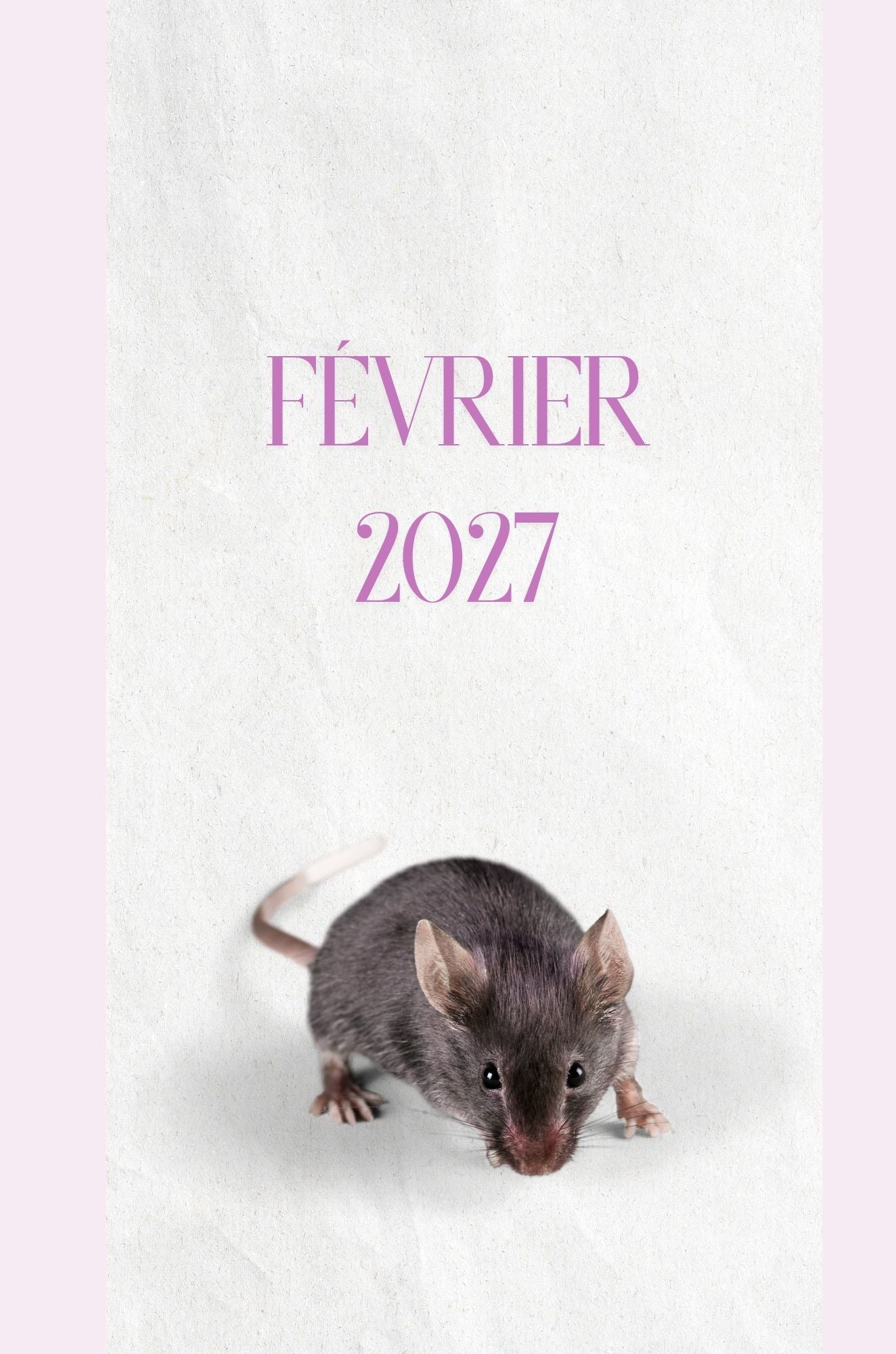 Mon Carnet de l'Année : planifier chaque journée 2026 - 2027 - Format A5 -
