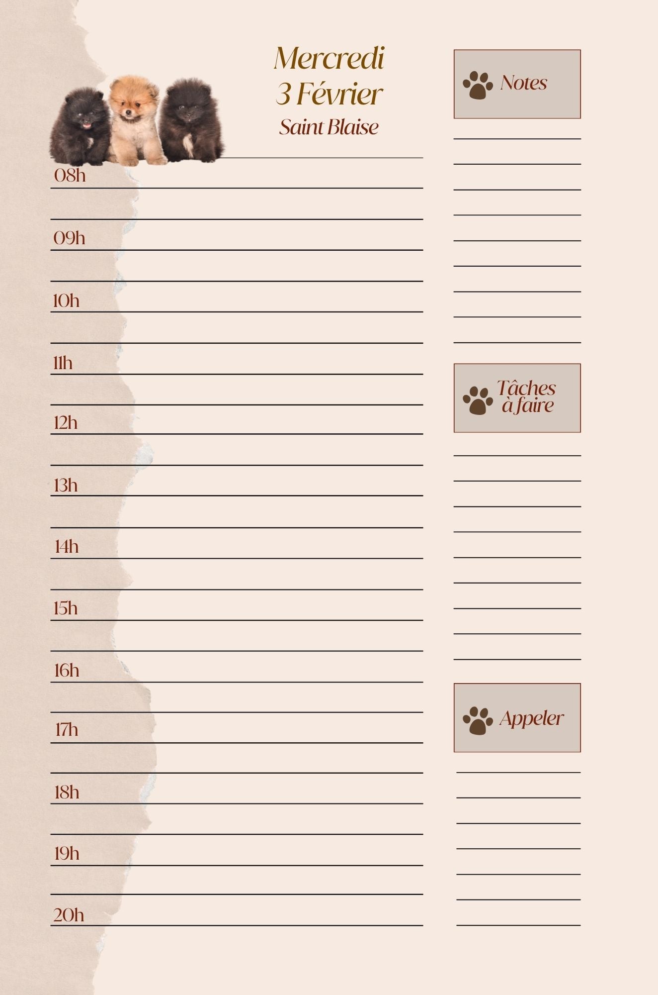 Mon Carnet de l'Année : planifier chaque journée 2026 - 2027 - Format A5 -