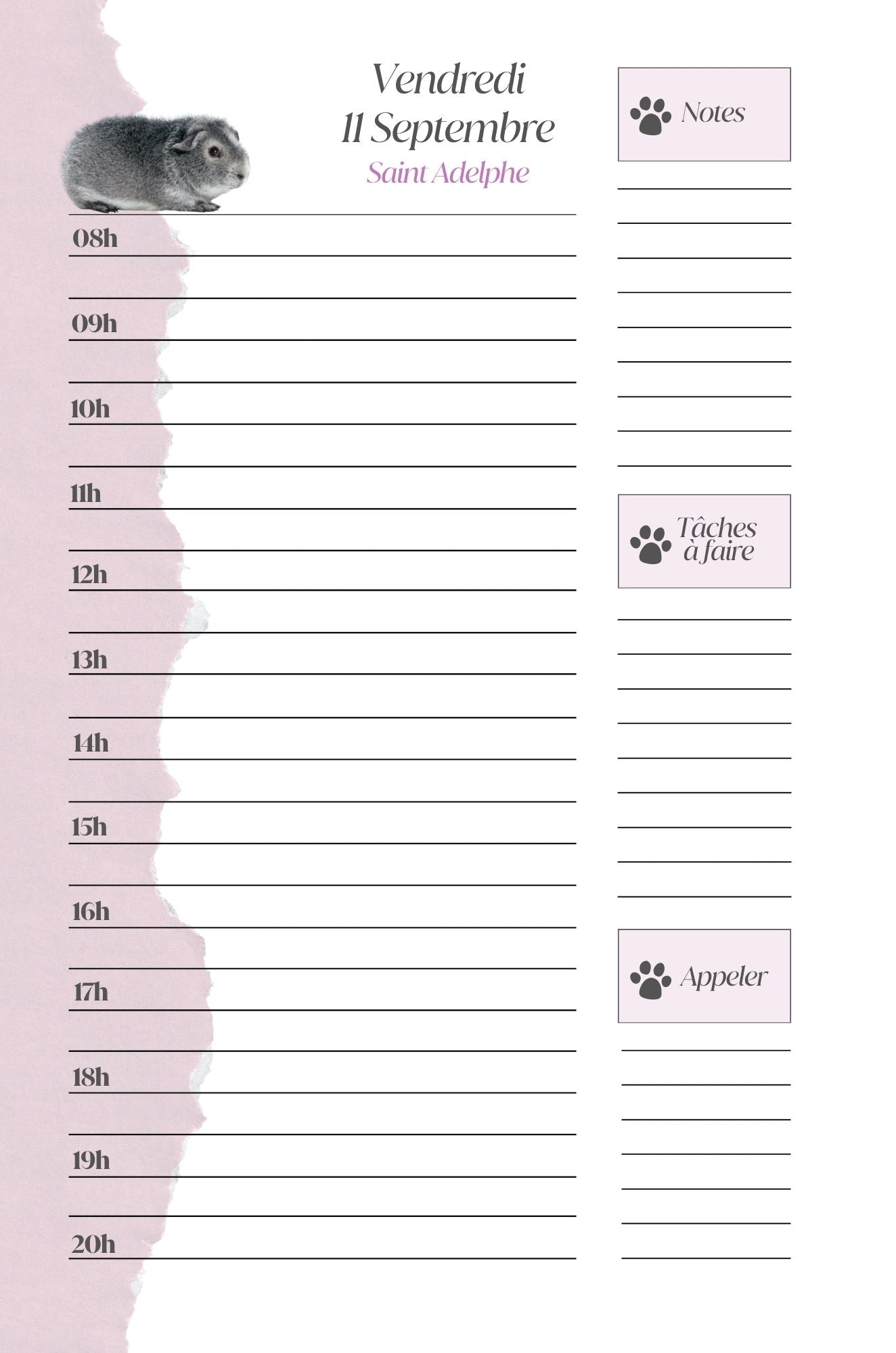 Mon Carnet de l'Année : planifier chaque journée 2026 - 2027 - Format A5 -