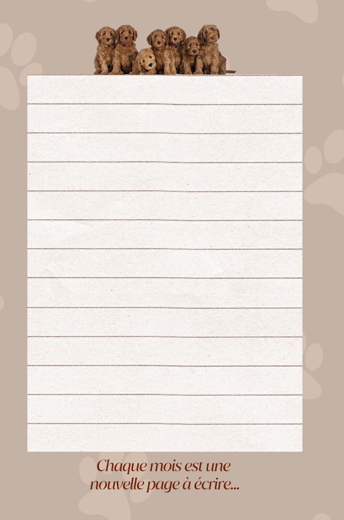 Mon Carnet de l'Année : planifier chaque journée 2026 - 2027 - Format A5 -
