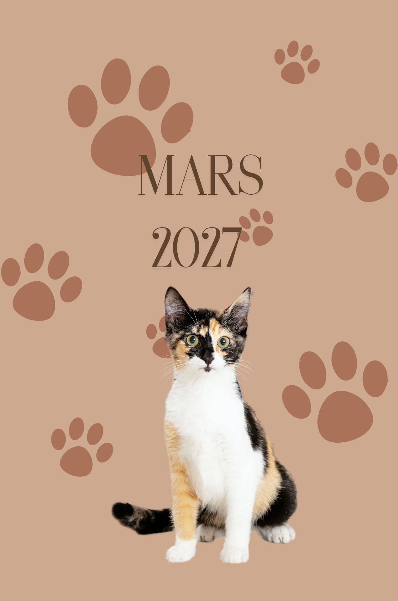 Mon Carnet de l'Année : planifier chaque journée 2026 - 2027 - Format A5 -