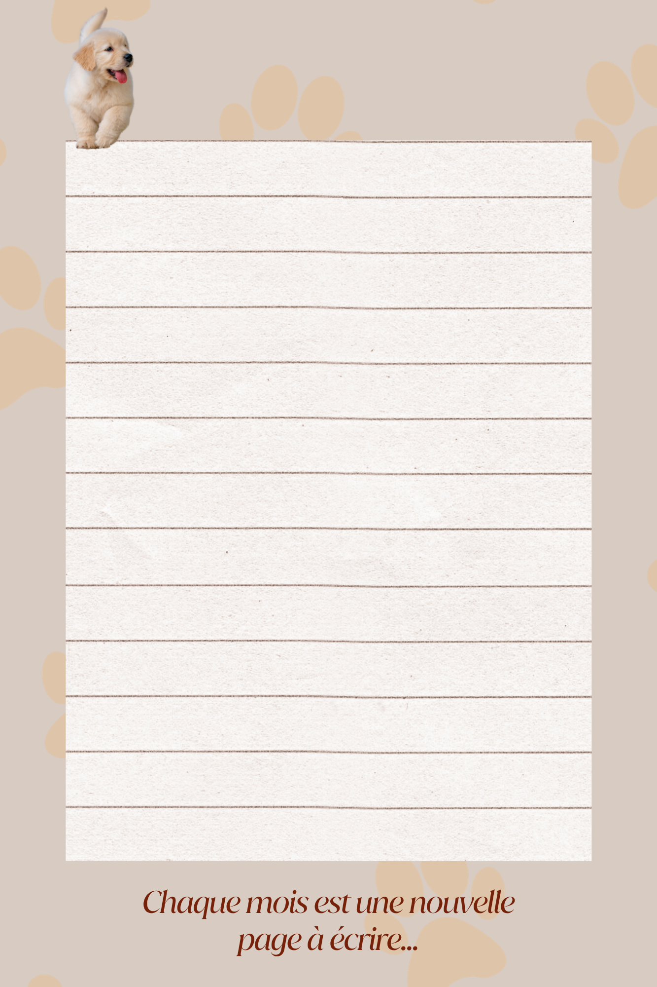Mon Carnet de l'Année : planifier chaque journée 2026 - 2027 - Format A4 -