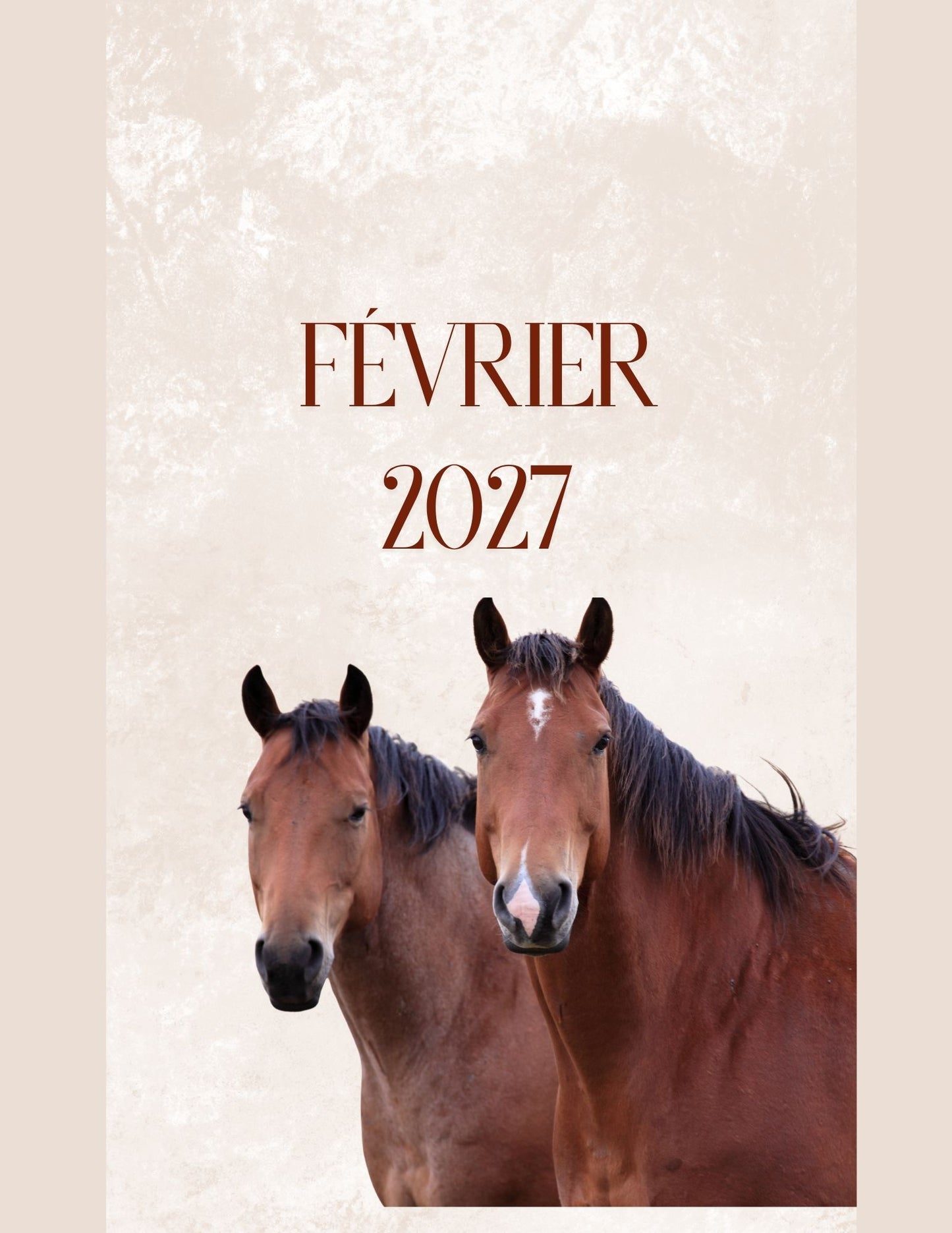 Mon Carnet de l'Année : planifier chaque journée 2026 - 2027 - Format A4 -