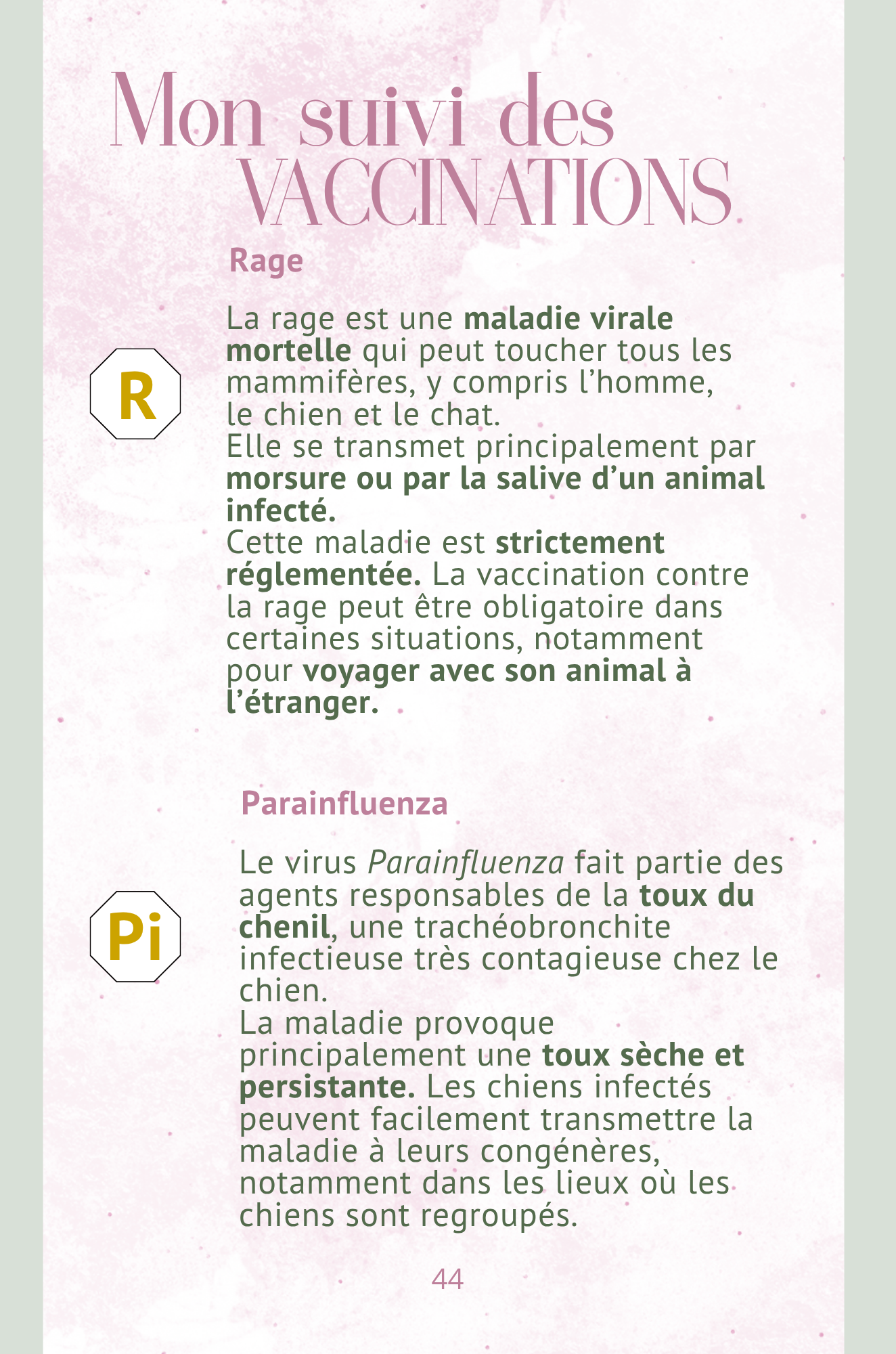 Mon Carnet de Santé : suivi complet pour mon chien