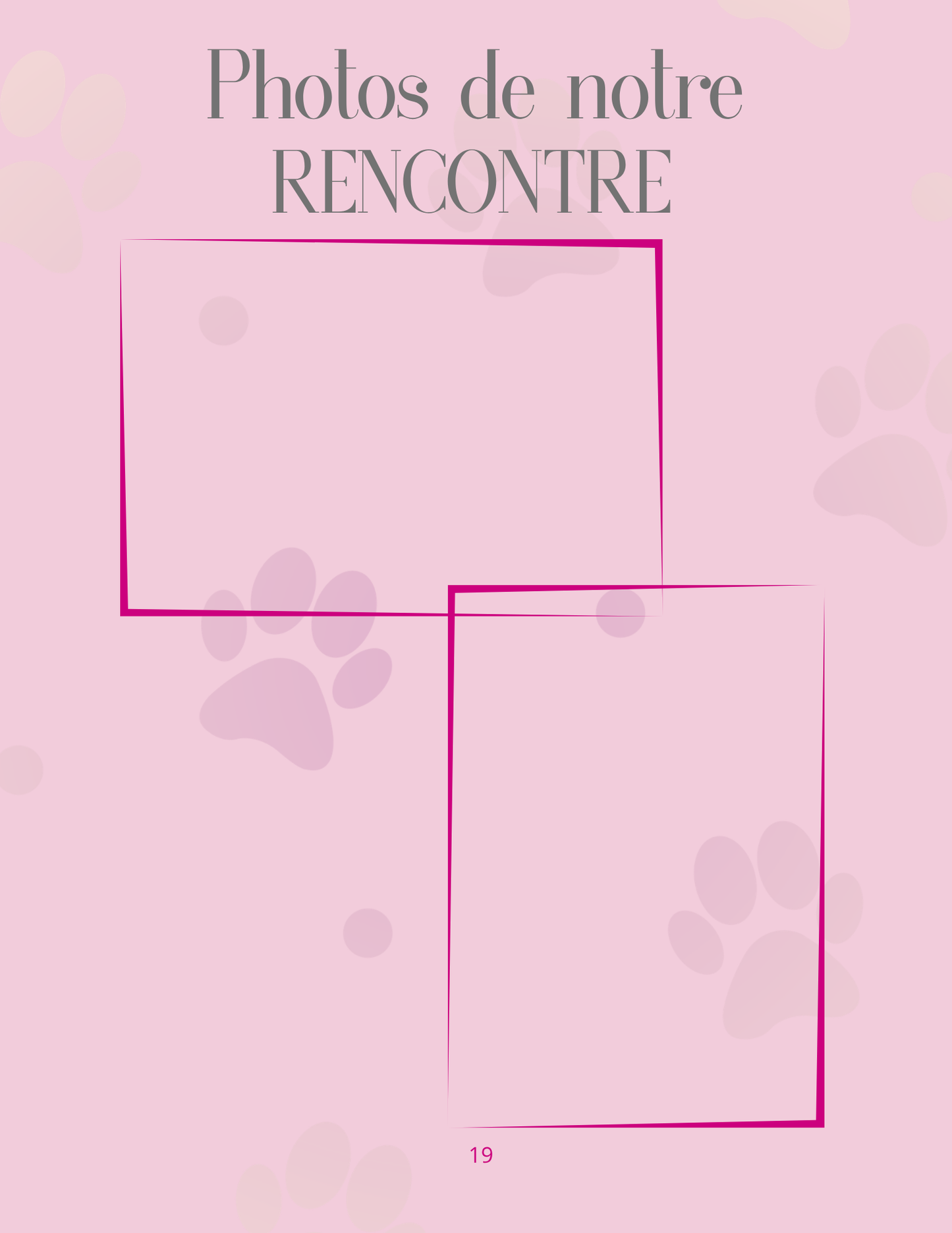 Mon Carnet de Souvenirs : suivi complet pour mon chien de ses 3 mois à ses 3 ans