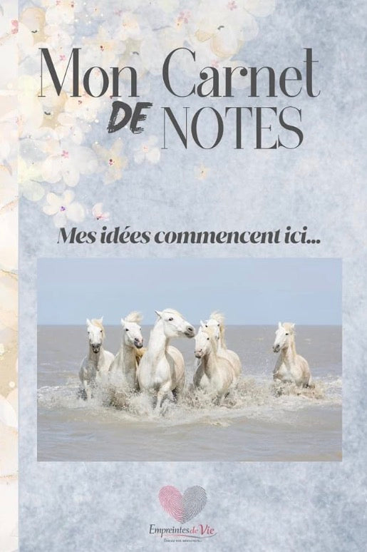 Mon Carnet de Notes : mes idées commencent ici...