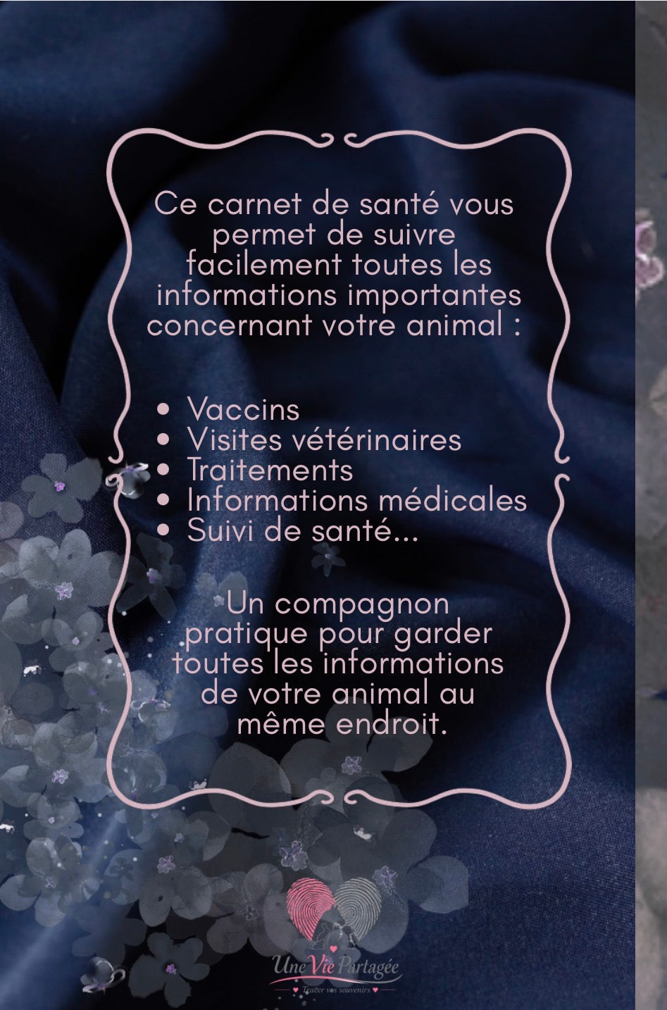 Mon Carnet de Santé : suivi complet pour mon chat