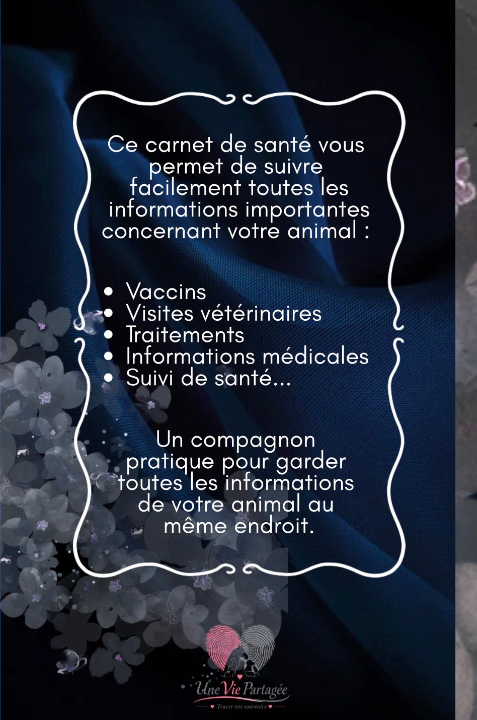 Mon Carnet de Santé : suivi complet pour mon chat