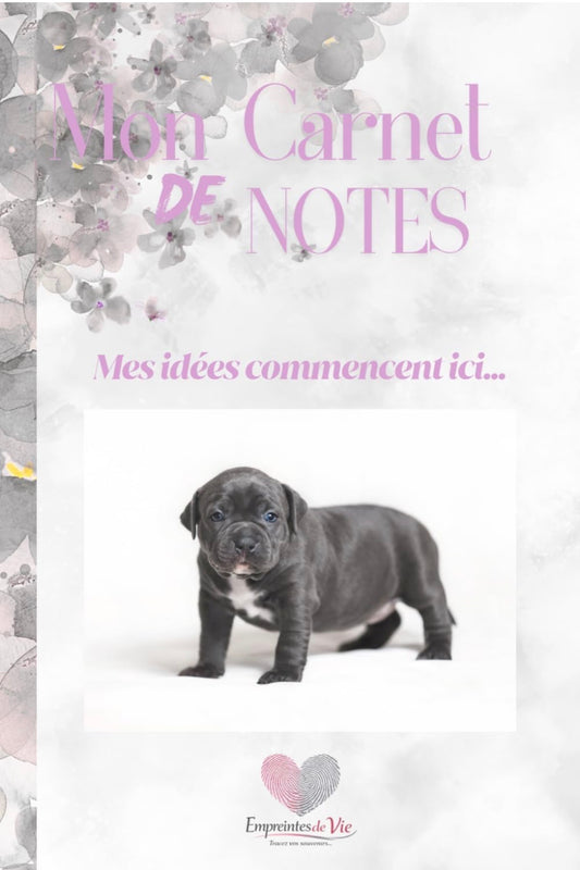 Mon Carnet de Notes "BULLY" : mes idées commencent ici...